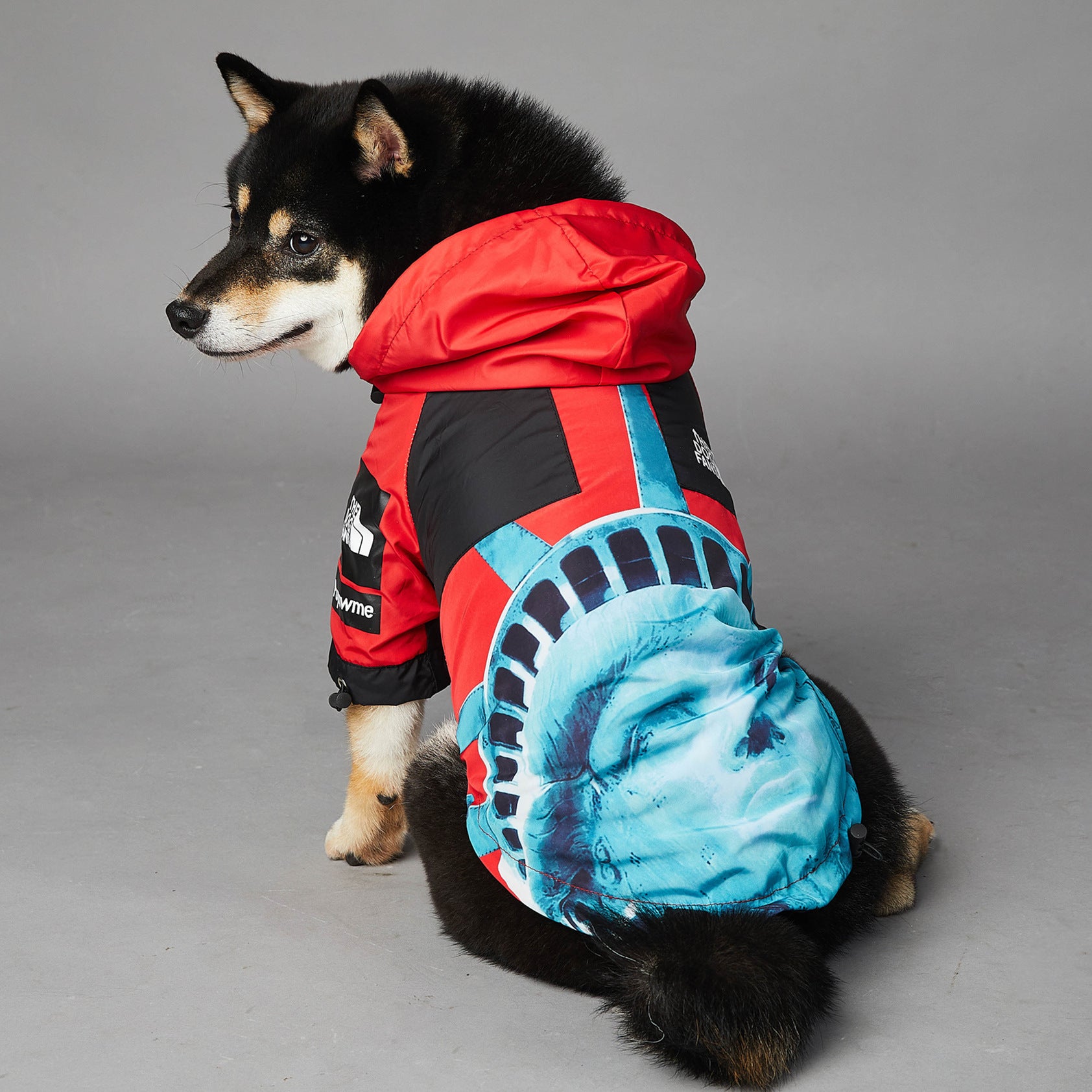 The Dog Fans Regenjacke NY in 3 verschiedenen Farben